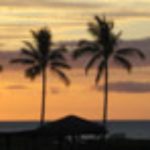 avatar046-150x150-1.jpg