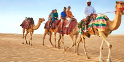 Camel Ride in the Desert