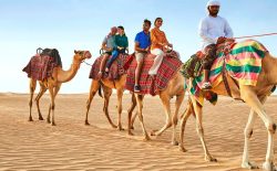 Camel Ride in the Desert